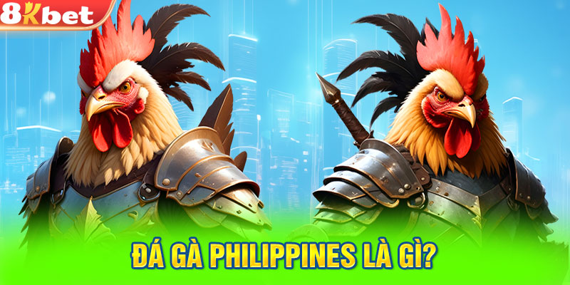 Đá gà Philippines là gì?